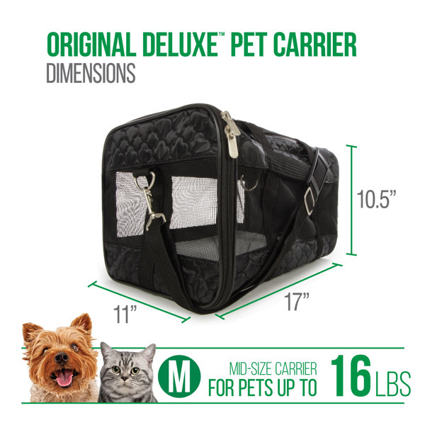 9 hx 16 wx 19 d pet sales carrier